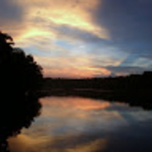 Meet your Posher, Tracey